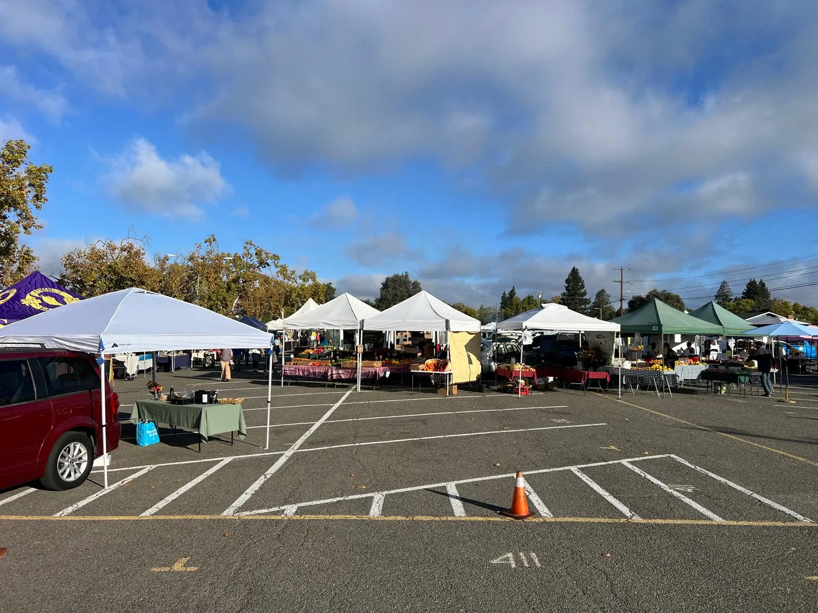 White market tents in a parking lot on a Saturday morning in Santa Rosa