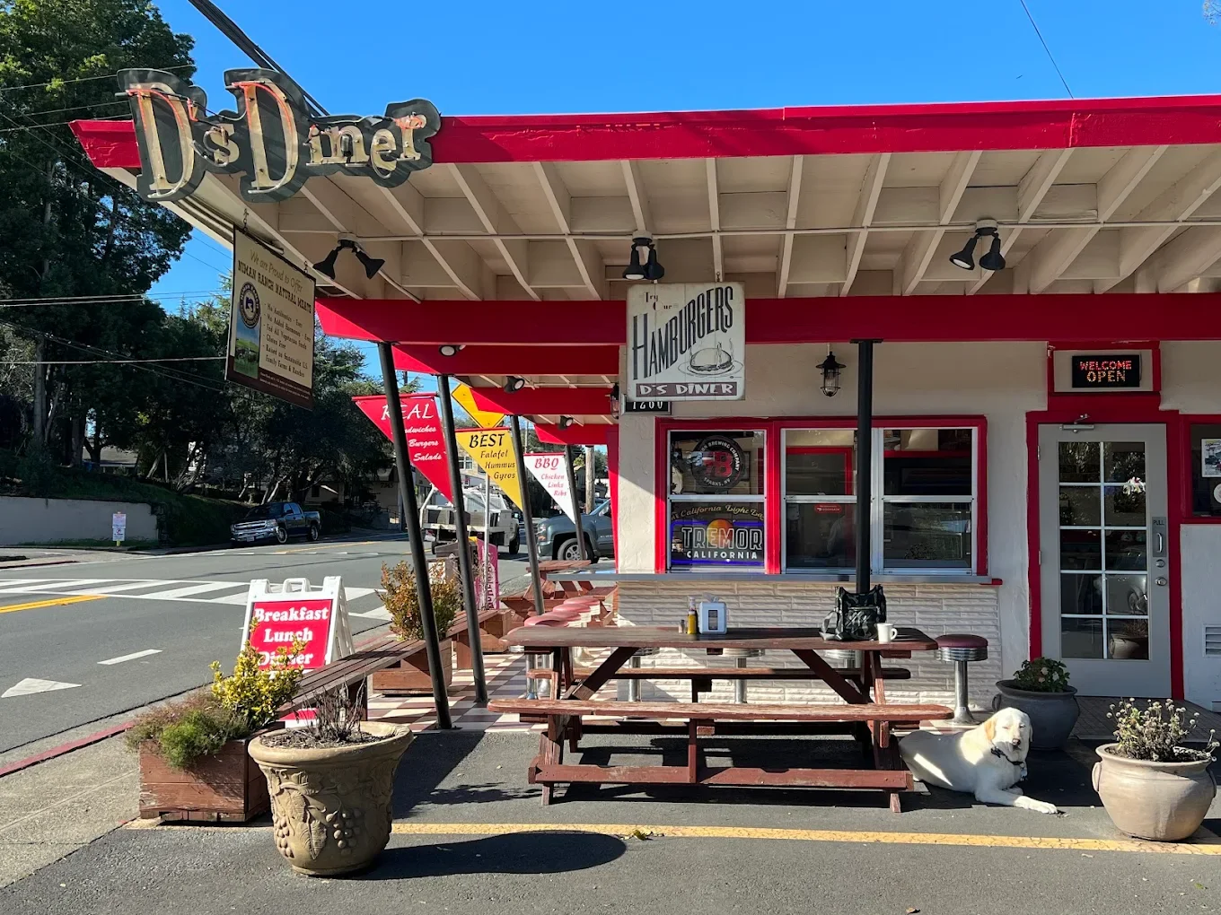 The classic roadside exterior of D’s Diner in Sebastopol