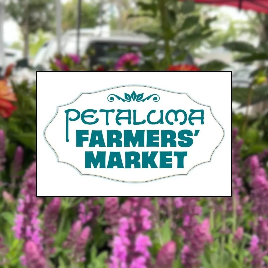 A produce and flower stand operated by a Petaluma grower
