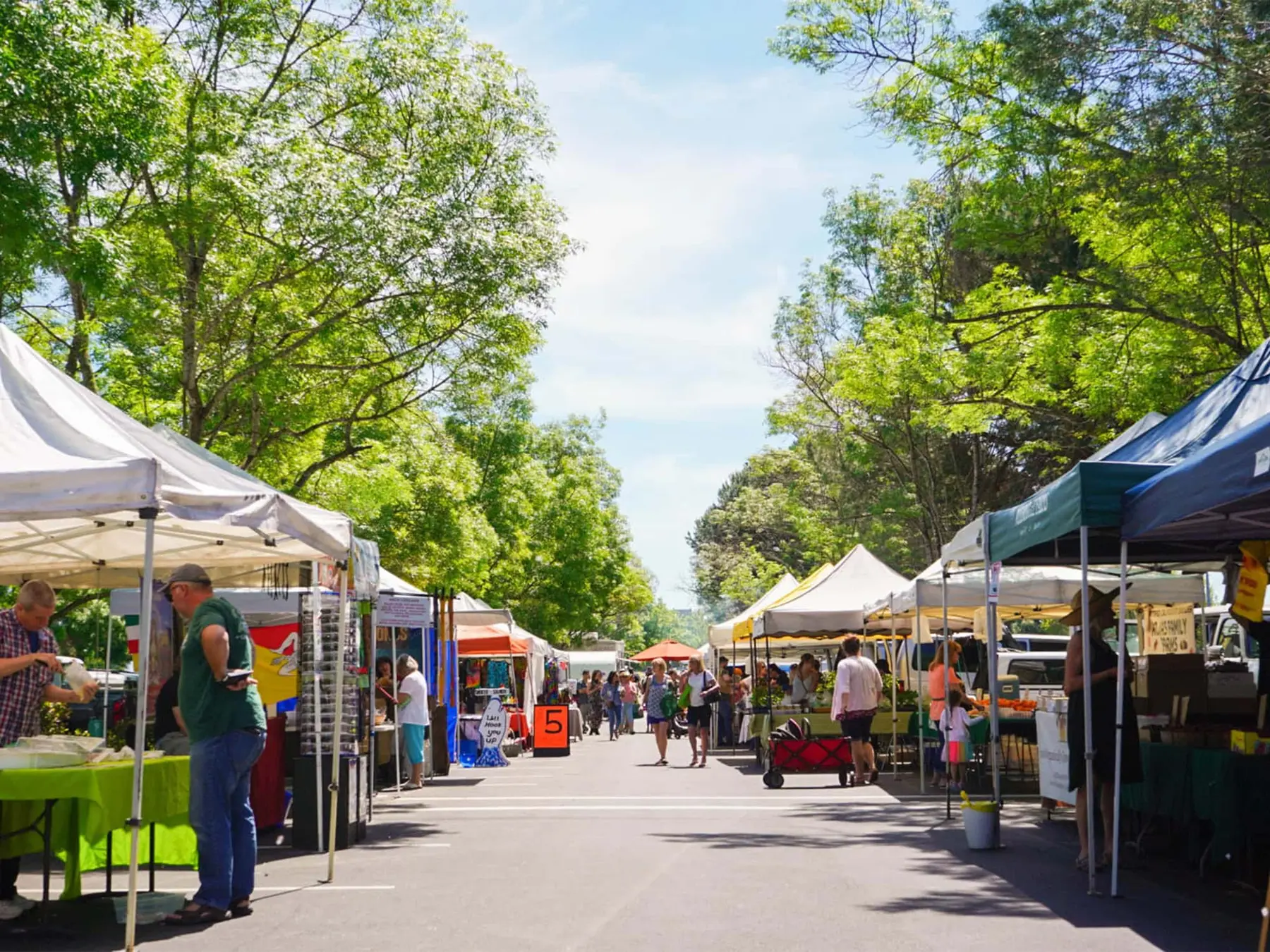 A shaded farmers market street in Petaluma