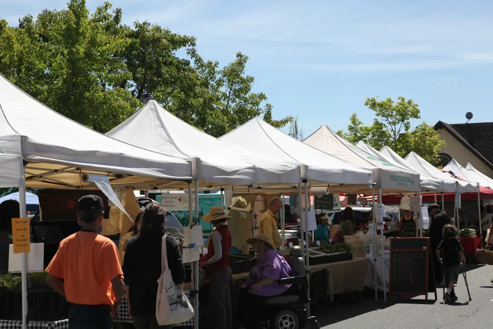 White farm tents at the Sunday market in downtown Sebastopol
