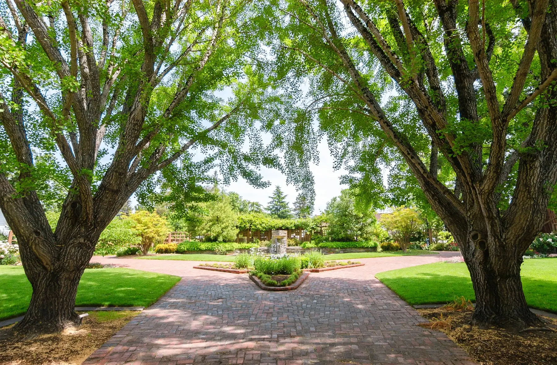 Shaded paths at Luther Burbank Home and Gardens in Santa Rosa