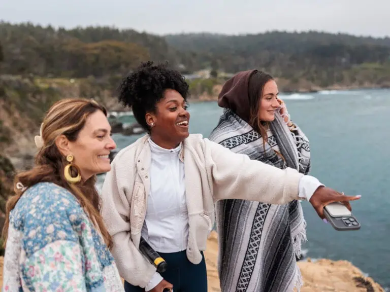 Visitors overlooking the rugged Sonoma Coast